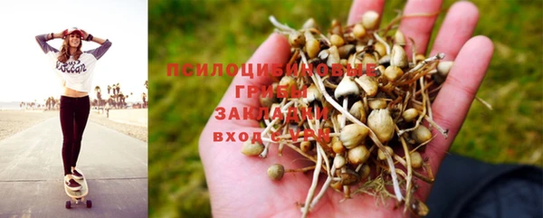 а пвп мука Абдулино